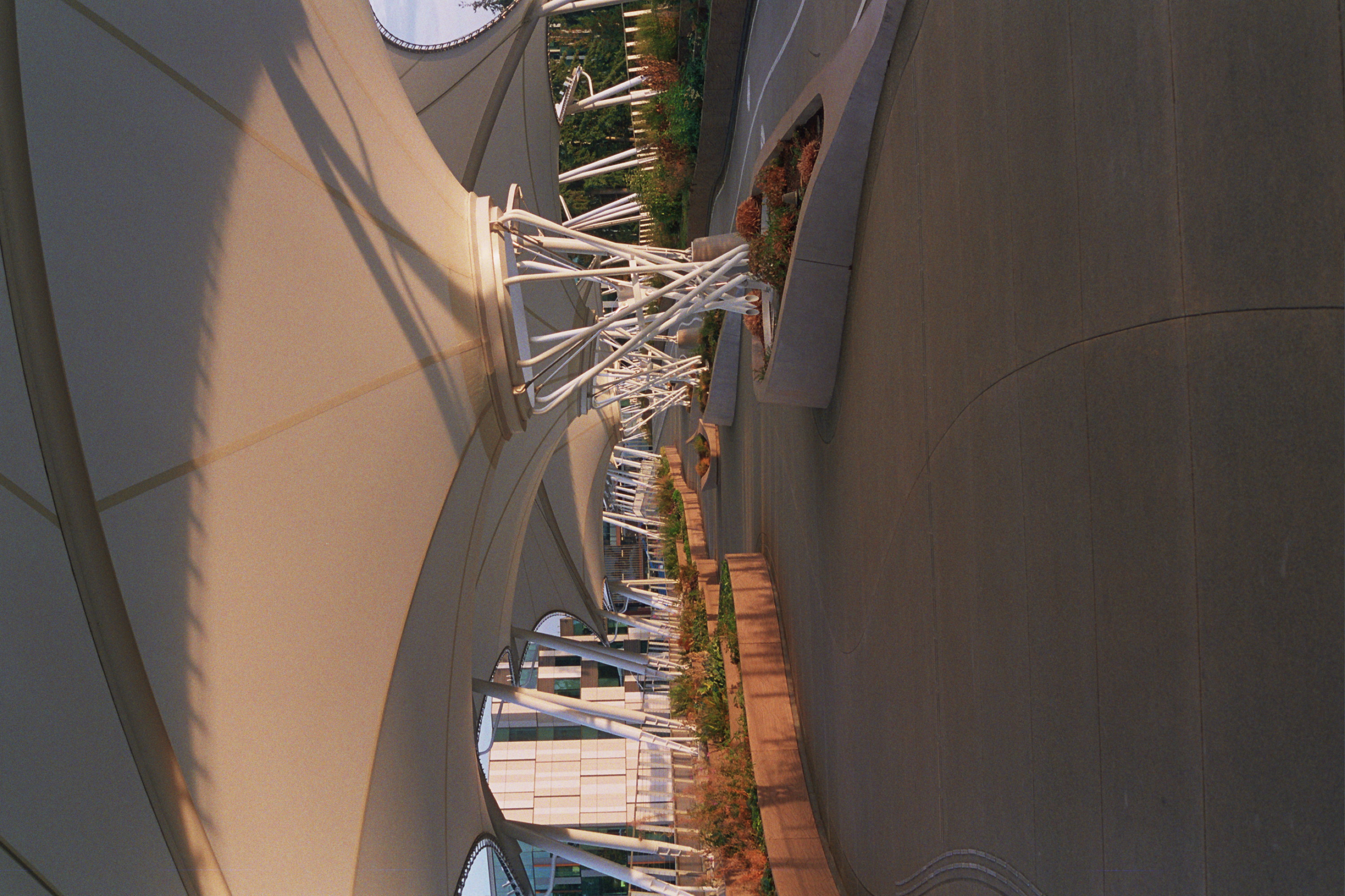 Gallery image 33